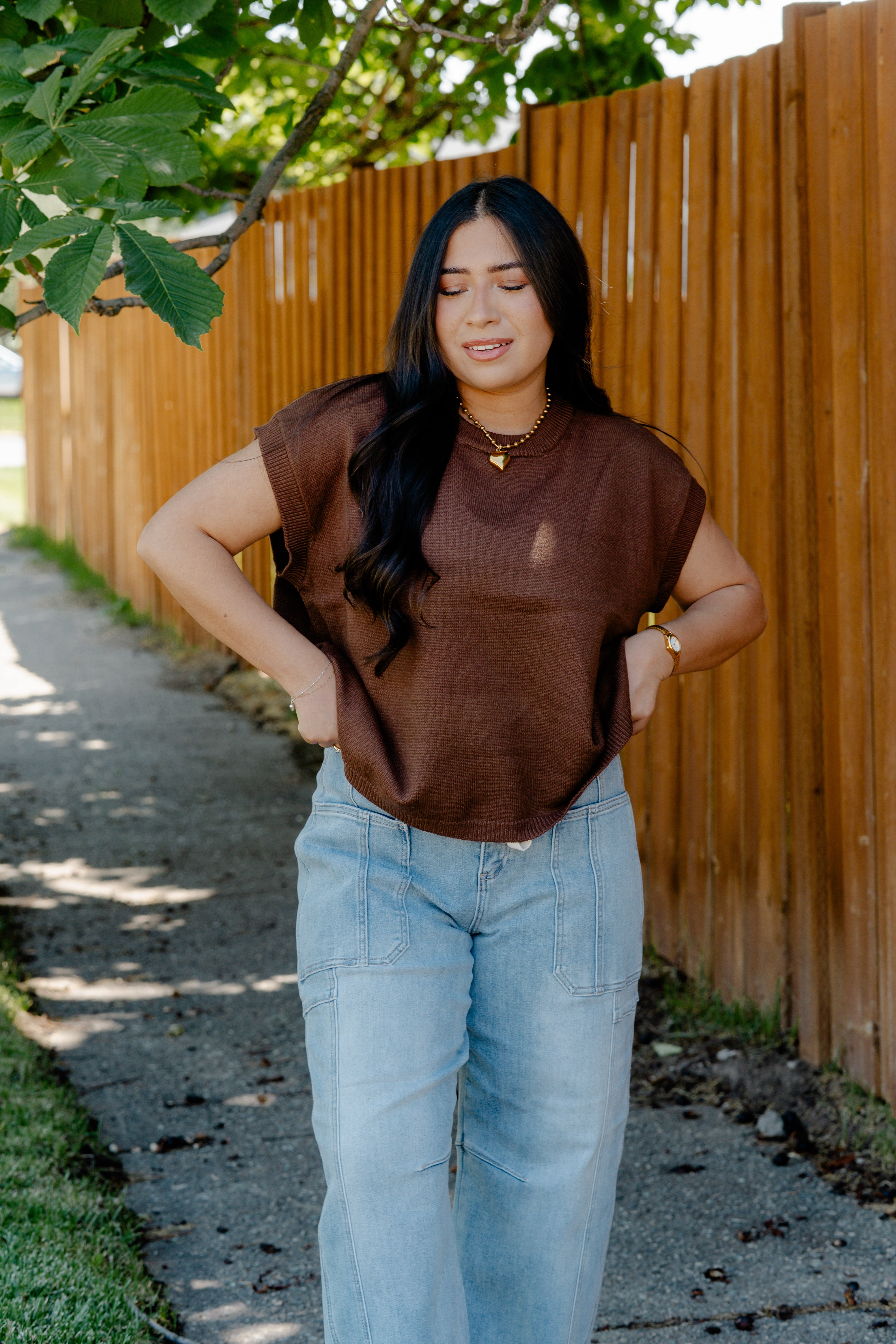 Arlo Sweater Vest / Brown